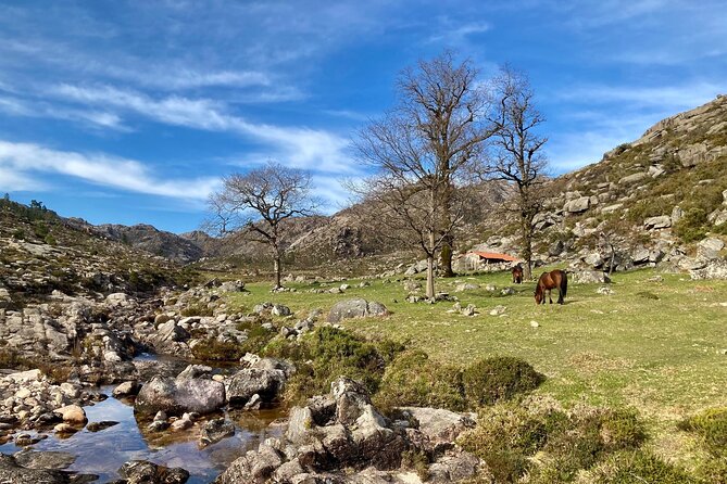 Peneda-Gerês Hiking & Sightseeing: Private Experience - Guides who turn trails into stories: Carlos and Samuel