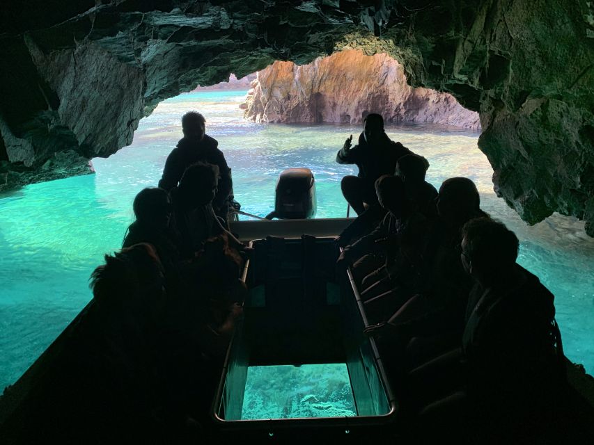 Peniche: Berlenga Island and Cave Tour - Elephant Cave: When Rock Shapes Feel Human