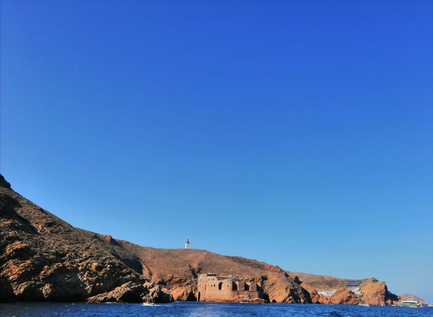 Peniche: Berlengas Island Round-Trip Ferry with Island Stop - Key things you should know before you go
