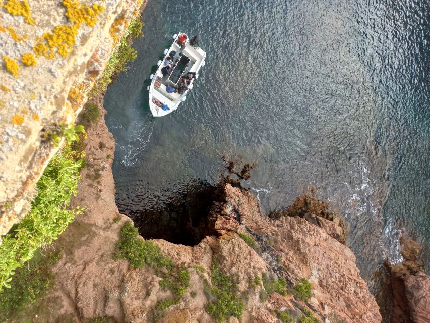 Peniche: Berlengas Island Round-Trip Ferry with Island Stop - Ferry ride from Peniche: quick, scenic, and sometimes bumpy