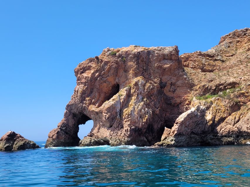 Peniche: Berlengas Island Round-Trip Ferry with Island Stop - Arrival on Berlenga: free time that lets you set your pace