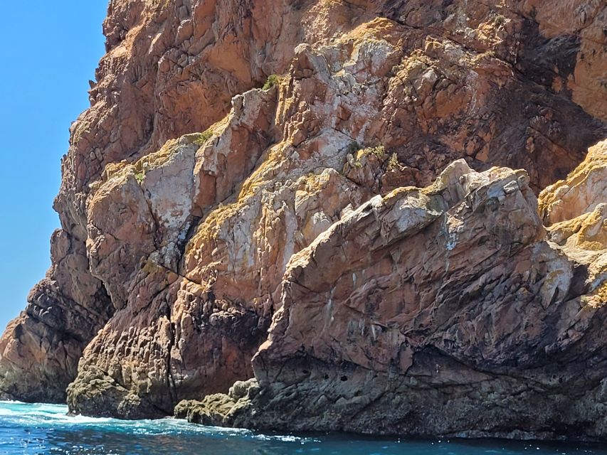 Peniche: Berlengas Island Round-Trip Ferry with Island Stop - Praia do Carreiro do Mosteiro: the only safe swim option