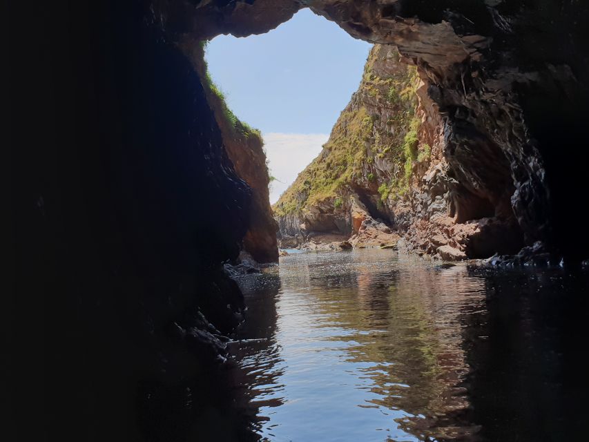 Peniche: Berlengas Roundtrip and Glass-Bottom Boat Cave Tour - $41 Value Check: Ferry, Cave Tour, and What Changes the Price Feel
