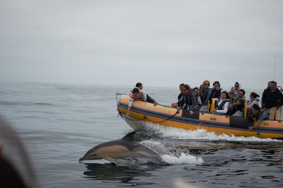 Peniche: Dolphin Route Boat Trip - How to Stay Comfortable: Motion Sickness Prep, Clothing, and Sun