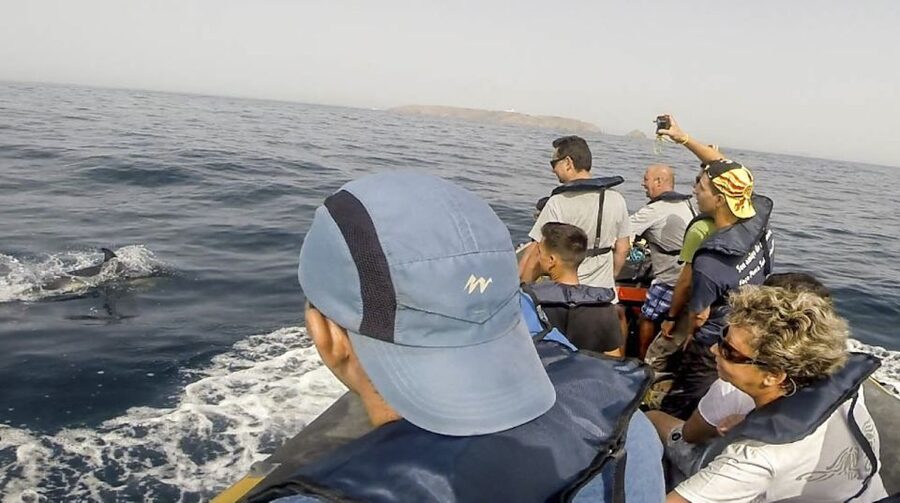 Peniche: Dolphin Route Boat Trip - Price and Value: Is $53 Worth It?
