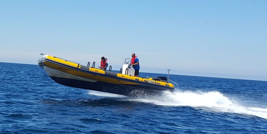 Peniche: Dolphin Route Boat Trip - Should You Book the Peniche Dolphin Route Boat Trip?