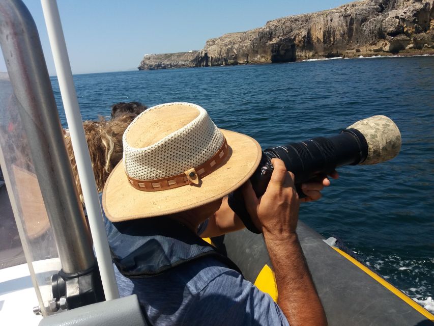 Peniche: Dolphin Route Boat Trip - Wildlife Chances: Dolphins, Sharks, Seabirds, and the Part You Cannot Control