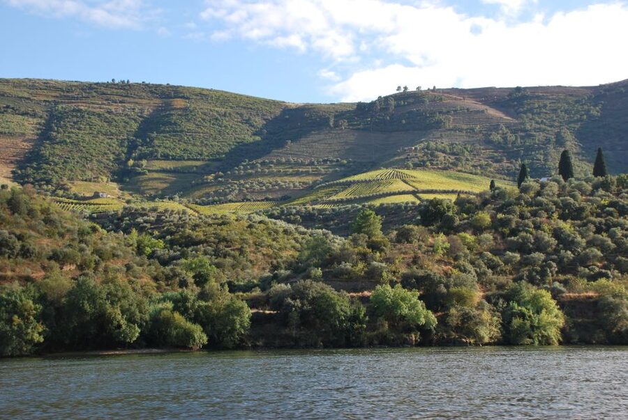 Pinhão: 2-Hour Rabelo Boat Tour with Audio Guide - Boat comfort: open and closed areas, plus what to wear for real weather