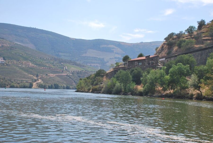 Pinhão: 2-Hour Rabelo Boat Tour with Audio Guide - Ponte do Pinhão and the first quintas: how the view builds minute by minute