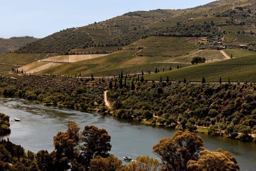 Pinhão: Douro River Boat Tour with Lunch - Best For: Who Will Love This Tour Most