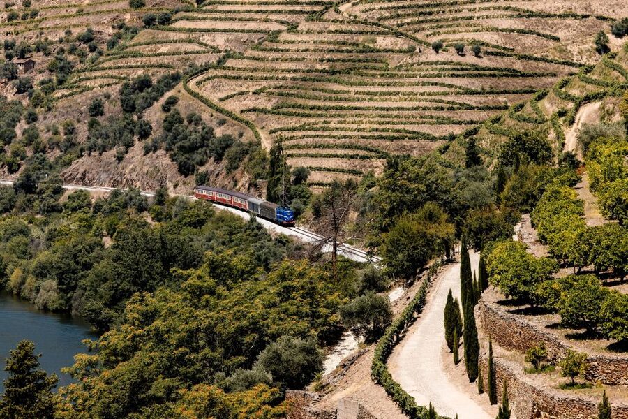 Pinhão: Douro River Boat Tour with Lunch - When You Might Want to Adjust Your Expectations