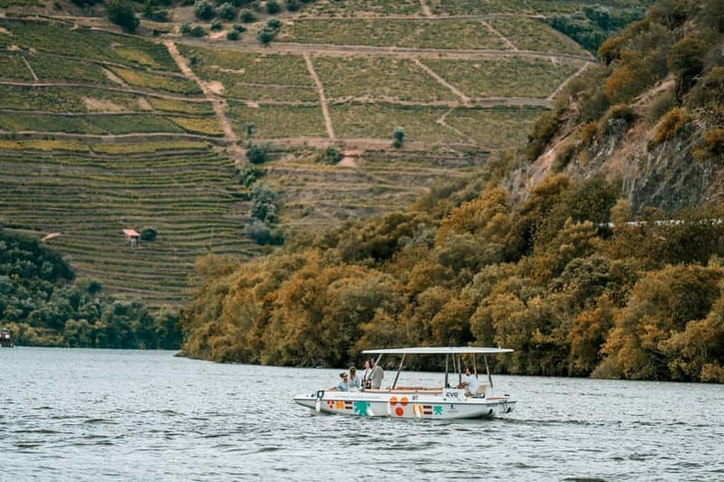 Pinhão: Douro River Solar Boat Tour with Wine Tasting - Practical tips that improve your experience in Pinhão