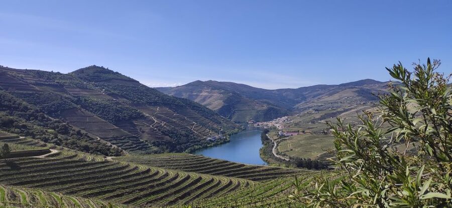 Pinhão: Douro Valley with Wine Tasting, Boat Trip and Lunch - Key highlights worth marking on your map