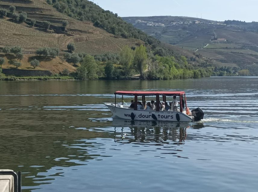 Pinhão: Douro Valley with Wine Tasting, Boat Trip and Lunch - Second quinta: more tasting time, more clarity on Port culture