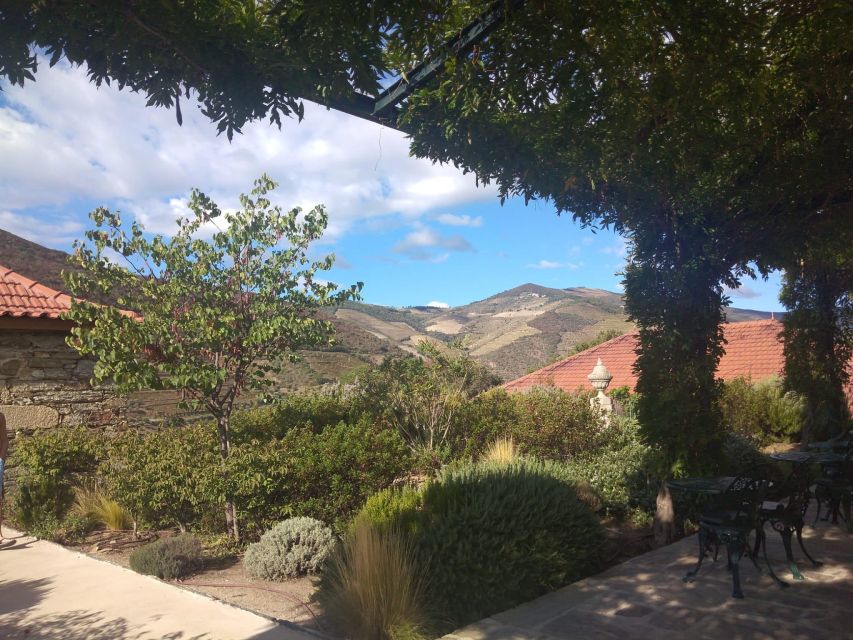 Pinhão: Douro Valley with Wine Tasting, Boat Trip and Lunch - Price and value: what $116 buys you in a full 7-hour loop