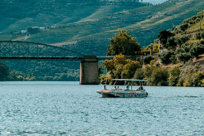 Pinhão: Electric Boat Experience 1h - Taste of Two Wines - A quiet Douro wining-and-riding loop from Pinhão