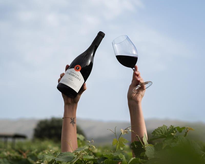 Pinhão: Quinta da Formigosa Vineyard Tour and Wine Tasting - Vineyard walk and photo stop: learning in the vines for 15 minutes