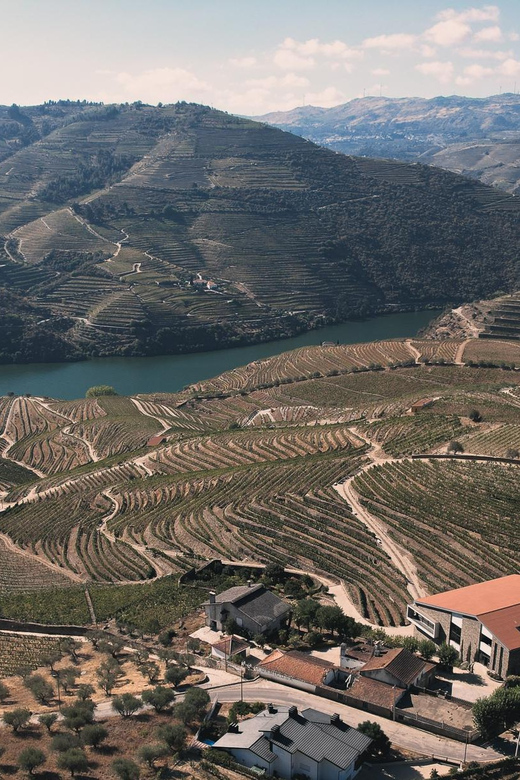 Pinhão: Quinta da Formigosa Vineyard Tour and Wine Tasting - Tasting in a panoramic Douro River room for about 45 minutes