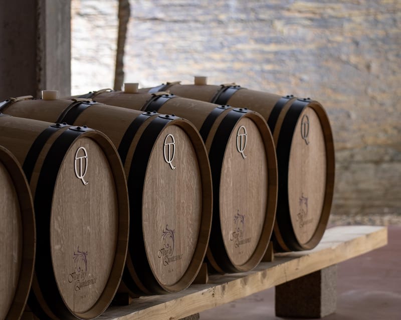 Pinhão: Quinta da Formigosa Vineyard Tour and Wine Tasting - Price and value: why $35 can make sense in the Douro