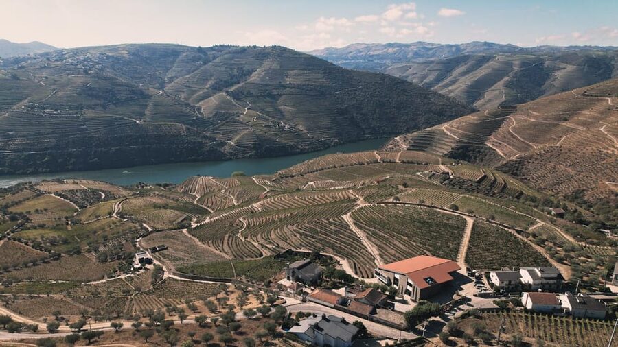 Pinhão: Quinta da Formigosa Vineyard Tour and Wine Tasting - Who this experience fits best in Pinhão and the Douro