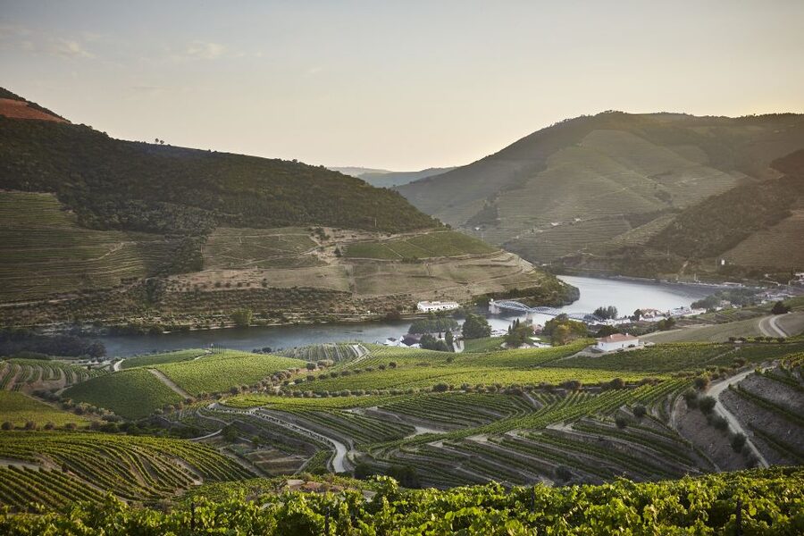 Pinhão: Quinta do Bomfim Visit and Tasting - Vineyard walks and dry-stone terraces, plus the 1896 lodge