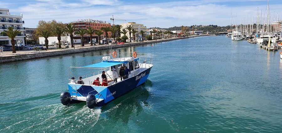 Ponta da Piedade: Half-Day Cruise with Lunch from Lagos - Price and Value: Why This $60 Half-Day Can Be a Best Buy