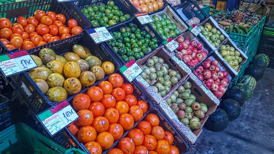 Ponta Delgada: Fat Dolphin Food Tours - Key things to know before you go