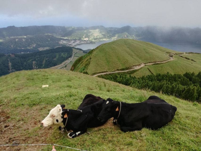 Ponta Delgada: Full-Day Sete Cidades 4X4 Tour with Lunch - Lagoa do Fogo, Fire Lake, and views toward Santa Maria