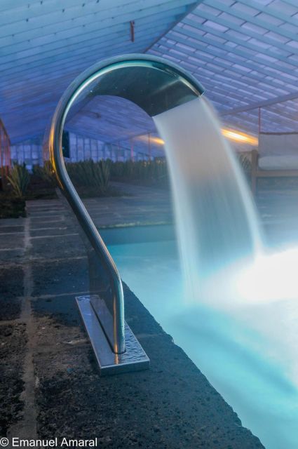Ponta Delgada: Greenhouse Hot Tube with Pineapple Tour - Pineapple products you might taste, and why that part matters