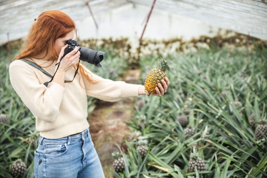 Ponta Delgada: Greenhouse Hot Tube with Pineapple Tour - Value check: $41 for a 2.5 hour greenhouse soak and guided tour