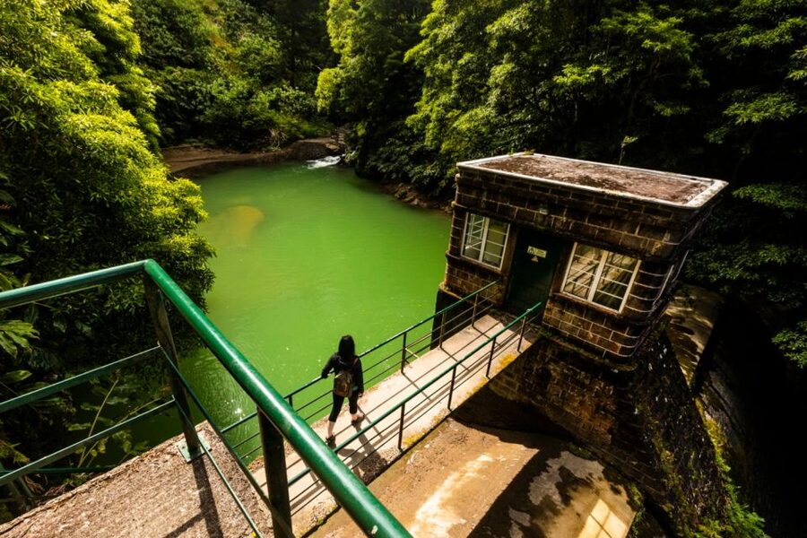 Ponta Delgada: Hidden Gems of São Miguel Full-Day Van Tour - Key things that make this São Miguel van tour special