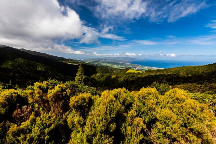 Ponta Delgada: Hidden Gems of São Miguel Full-Day Van Tour - Coastal time: lava rock formations, caves, and the sea doing its thing