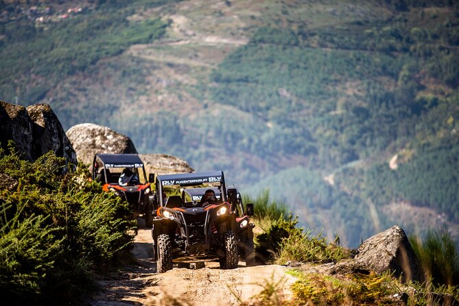 Ponte de Lima Guided Buggy Tour - Quick Take: 6 Reasons This Buggy Ride Is Popular