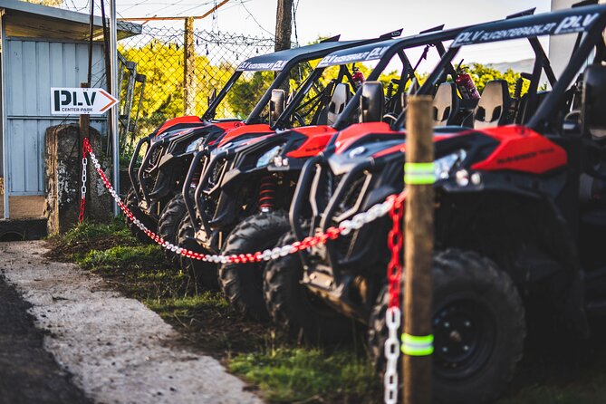 Ponte de Lima Guided Buggy Tour - Driving Your Own Buggy: Terrain, Thrill, and Realistic Expectations