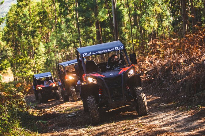 Ponte de Lima Guided Buggy Tour - Price and Value: $181.02 for Up to 2 People