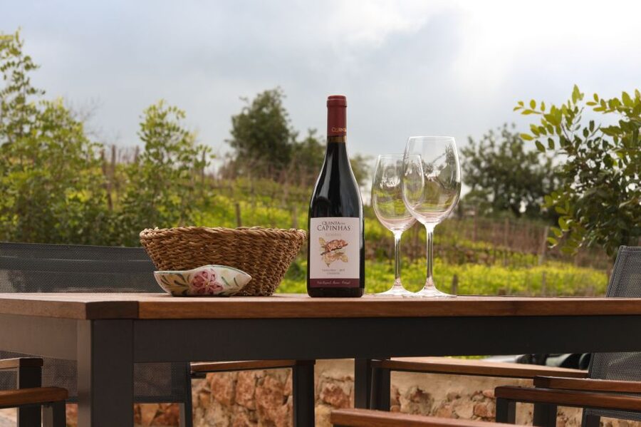 Porches: Algarve Vineyard Tour and Wine Tasting Experience - Tapas pairing in the wine bar: practical food, generous time