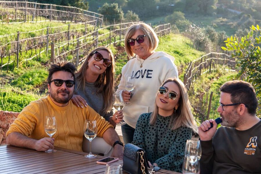 Porches: Algarve Vineyard Tour and Wine Tasting Experience - Price and value: what $91 gets you in real terms