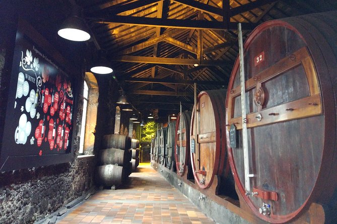 Port Wine Lodges Tour Including 7 Port Wine Tastings (English) - The Old Cellar to Interactive Center Shift