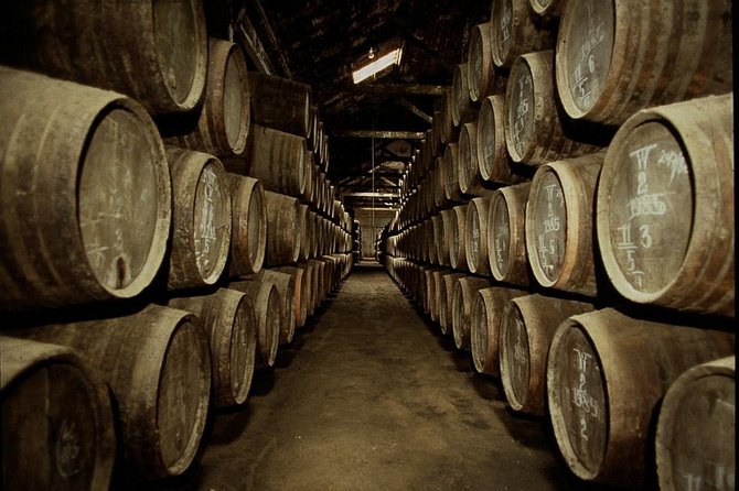 Port Wine Lodges Tour Including 7 Port Wine Tastings (English) - The Big Value Play: Seven Tastings Plus Lodge Entry