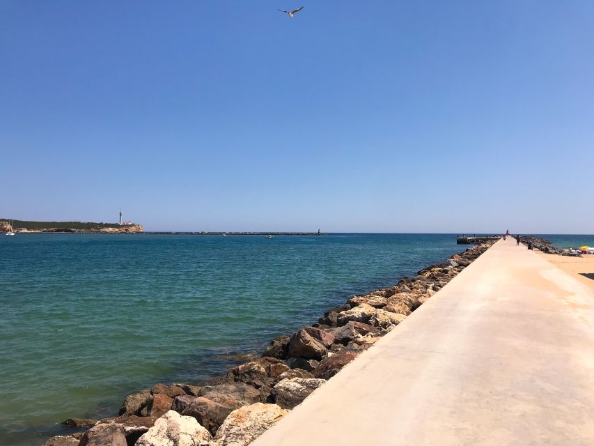Portimão: 1.25-Hour Segway Tour - Praia da Rocha promenade: beach views without the walking slog