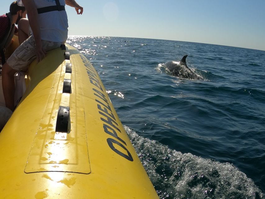 Portimão: 2-Hour Dolphin Watching Boat Tour - How the Crew Helps You See More (Captain Lorenzo and the Team)