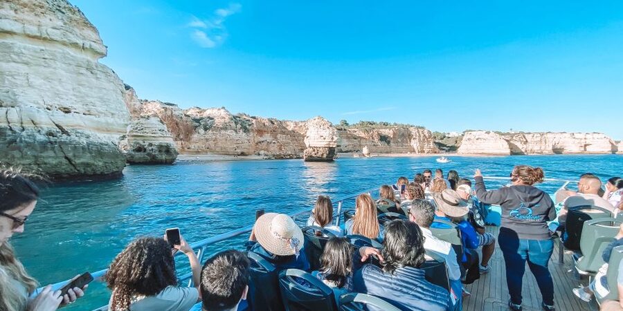 Portimão: Benagil Caves & Dolphins Watching with Biologist - Key things I’d watch for
