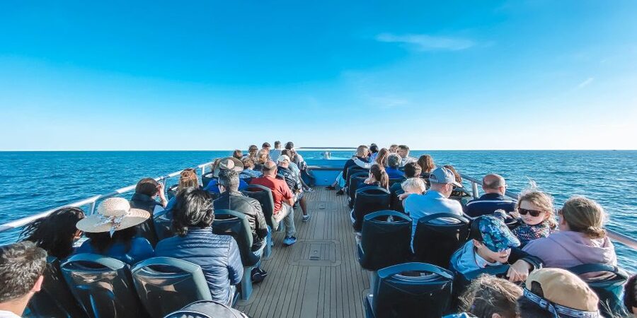 Portimão: Benagil Caves & Dolphins Watching with Biologist - The 2.5-Hour Rhythm: Caves First, Then Open Ocean for Dolphins
