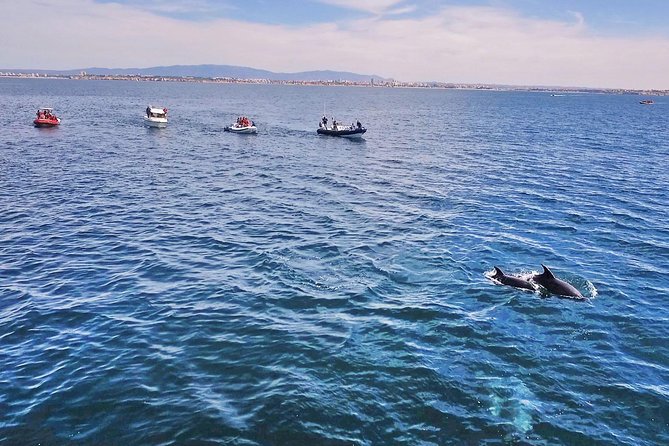 Portimão: Benagil Caves Speedboat Tour - Timing tips for calmer seas and better cave odds