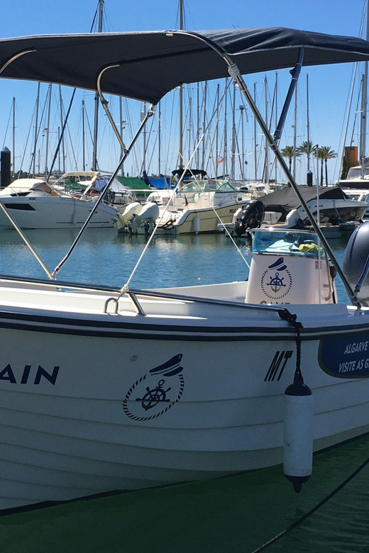 Portimão: Caves, Benagil and Algarve Coastline Boat Tour - Why the small group (up to 10) matters