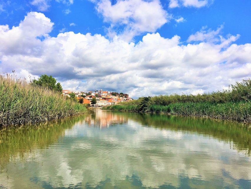 Portimão: Silves & Arade River History Tour on a Solar Boat - The return to Portimão: wine, views, and a slower pace