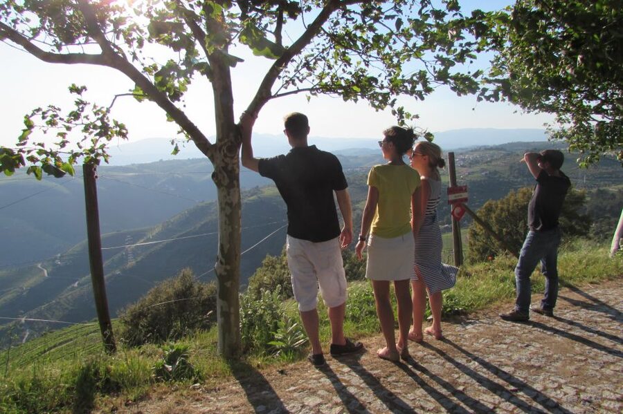 Porto: 3 Douro Valley Vineyards Tour with Lunch - Key things that make this Douro tour a strong choice
