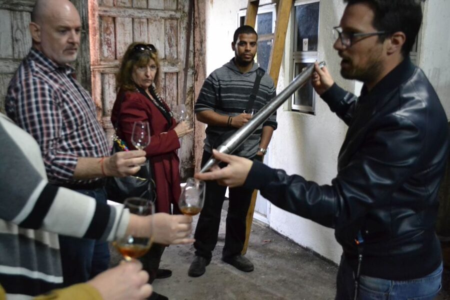Porto: 3 Douro Valley Vineyards Tour with Lunch - Should you book this Douro Valley wine tour from Porto?