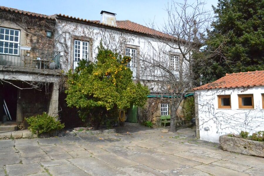 Porto: 3 Douro Valley Vineyards Tour with Lunch - Lunch at the second vineyard in the Douro: Portuguese comfort food plus winery wine