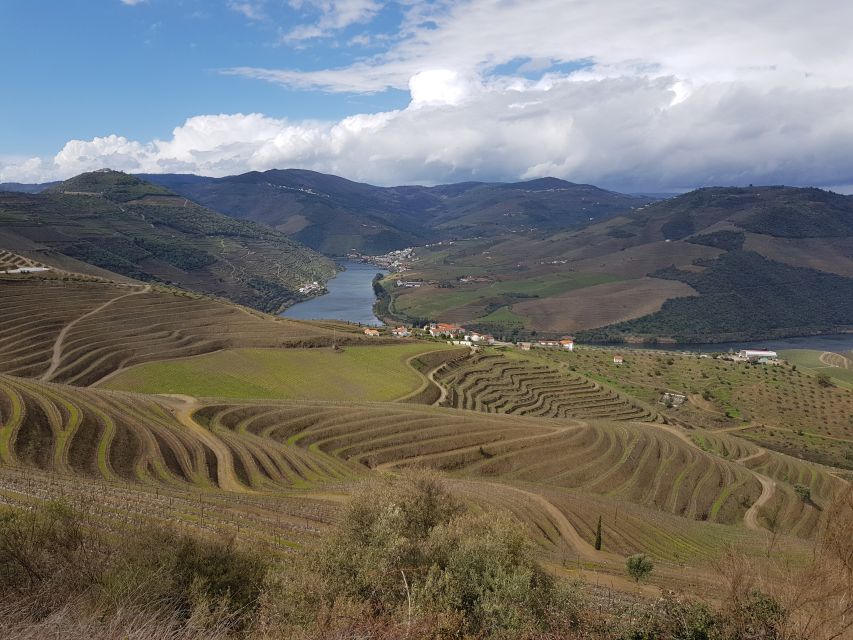 Porto: 3 Douro Valley Vineyards Tour with Lunch - Is the $129 price good value for a Douro wine day from Porto?